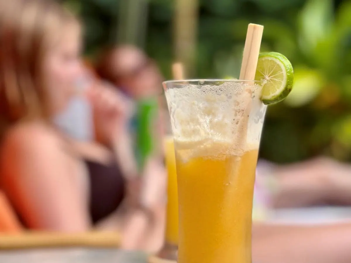 The White Villas Ubud Station touristique