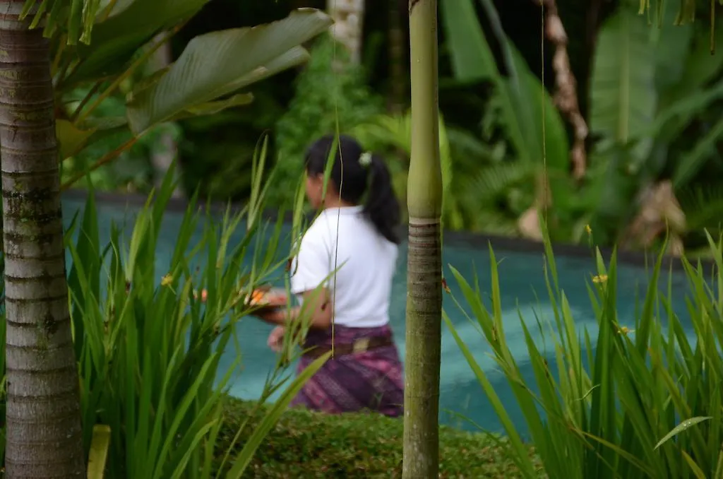 The White Villas Ubud Station touristique